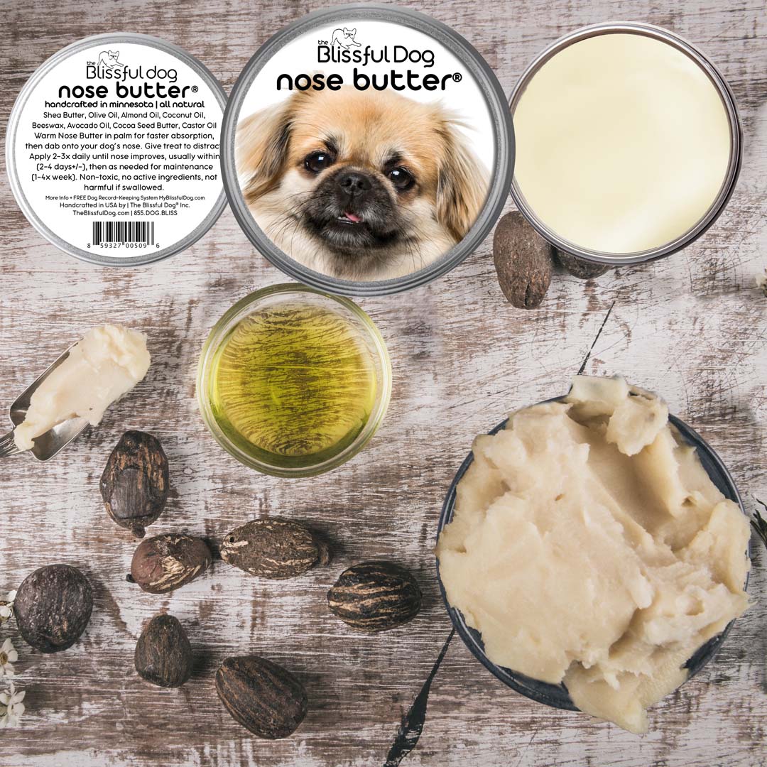 Tibetan Spaniel Nose is Dry